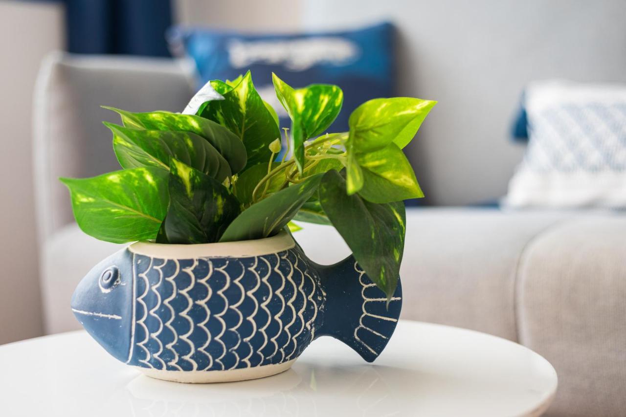 Home2Book Aloha Palm Costa Calma Ngoại thất bức ảnh